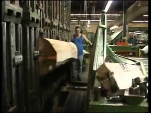 Veneer Informational Video