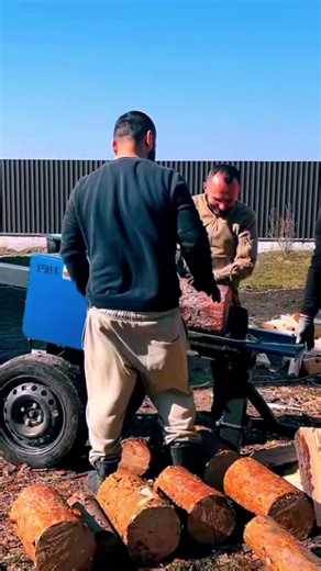 Best Log Splitter #firewood #woodwork