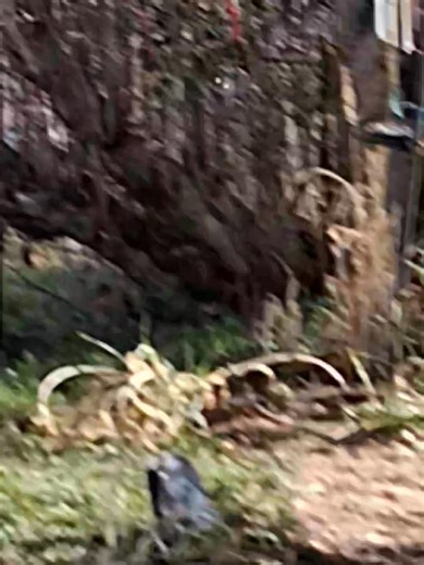 Hello everyone | Vanessa Clark Hintz