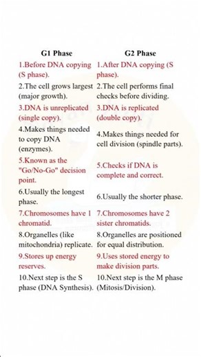 G1 phase vs G2 phase// Cell division and cell cycle //class 11 biology //defferent #shorts