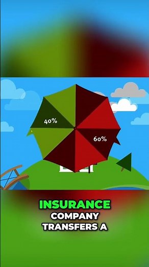 Reinsurance Explained: The Insurance of Insurance Companies #shorts