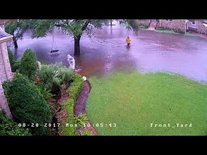 Hurricane Harvey Flood - Houston TX (Meyerland Neighborhood), August 27 2017 - Front Yard Time Lapse