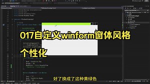 017自定义winform窗体风格 个性化