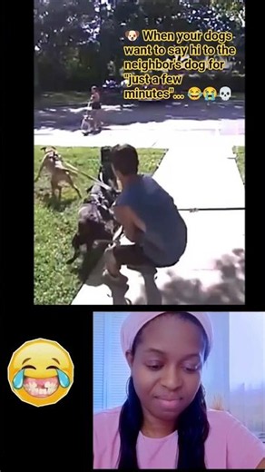 🐶 When your dogs want to say hi to the neighbor's dog for "just a few minutes"... 😂😭💀 #funnyvideos