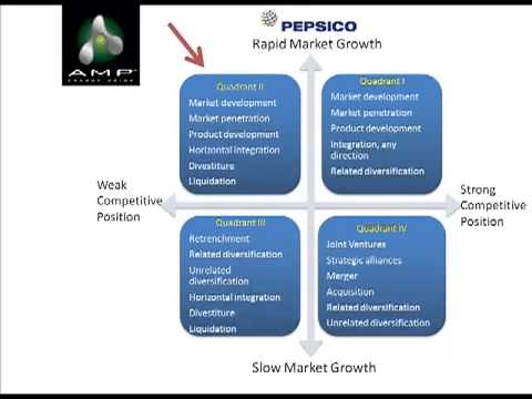 Grand Strategy Matrix