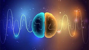 Study Reveals a Universal Pattern of Brain Wave Frequencies