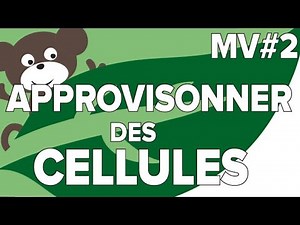 MV Cell Supply # 2-SVT College-Mathrix