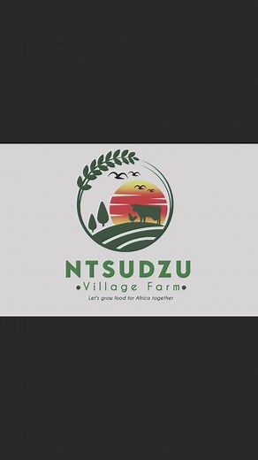 As we wrap up today's farm adventures, it's a reminder of how every day on the farm brings new lessons, challenges, and moments to appreciate. From the chickens' antics to the peaceful mornings, life here is always full of surprises. Thanks for spending the day with me - see you next time for more farm fun!#farmlife #chicken ##pultryfarming #southafrica #aguriculture