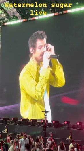 Watermelon sugar live performance of harry styles in Amsterdam #concert