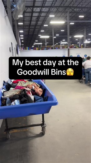 Amazing Goodwill Finds from the Bins