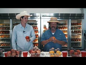 This Multi-Generational Farm In California Is Growing Some Of The Best Stone Fruit In The World