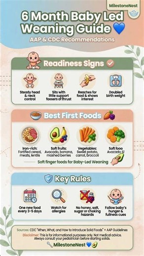 6 Month Baby Led Weaning Guide | AAP & CDC Recommendations 💙