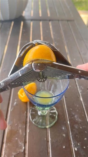Next Level Lemon Juicer #gadgets