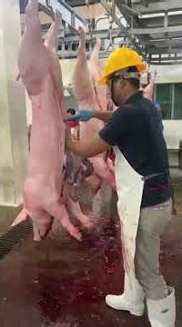 evisceration proper procedure