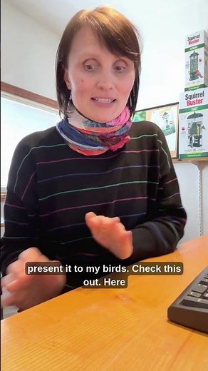 New Feeder Alert! Meet the Squirrel Buster Evolution