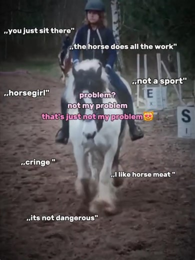 Not my problem🥰 #horse #horse #ponymalta #equestrian #equestrianjourney #horsetrack