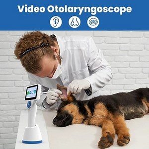 Video Otorhinolaryngoscope for ENT Otoscope 3.5 inch Touch screen Endoscope | eBay