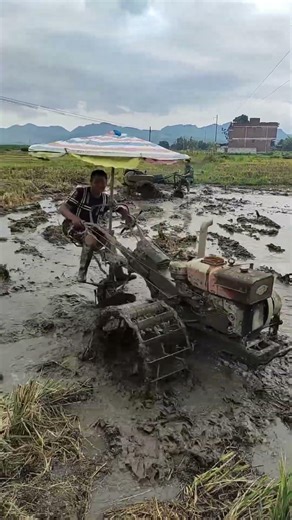 Skill in plowing rice fields for healthy soil and crop growth