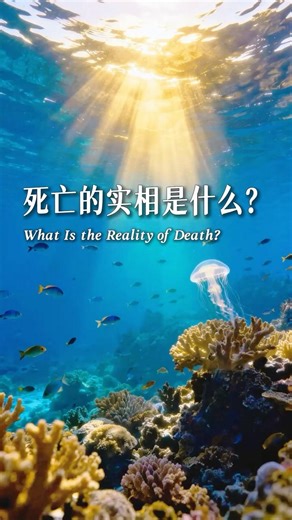 死亡的实相是什么？