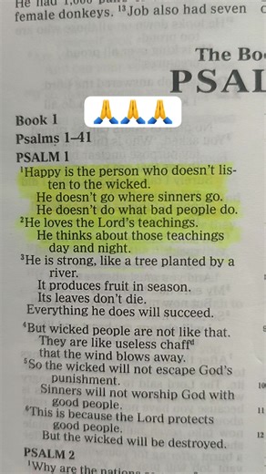 Blessed is the person who doesn't....... #fbreels #bibleverse #holybible #blessed #inspiringwords #fblifestyle #WordOfGod | Inspiring Words