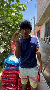 En ONLY ONE COIN estamos comprometidos con los animalitos en situación de calle 🐈 🐕 🥰 | ONLY ONE COIN