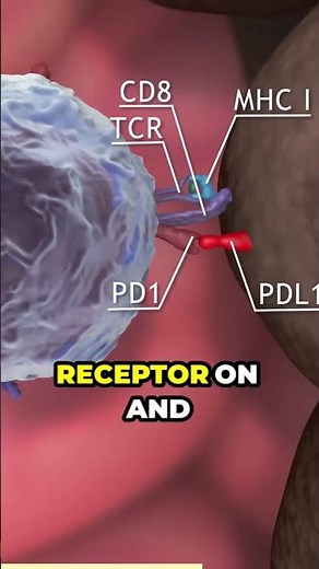 Immune Checkpoints Explained: Unlocking the Immune System's Secrets #immunesystem #immunity