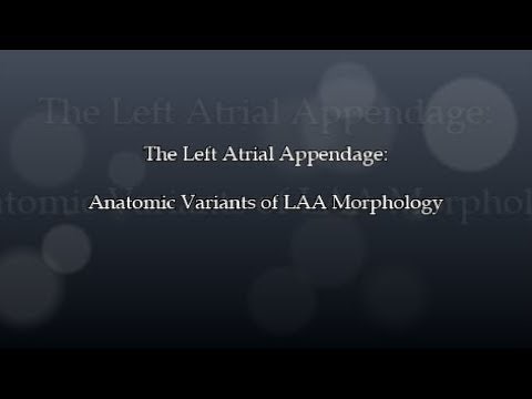 Left Atrial Appendage Morphology: Part 1 Chicken Wing