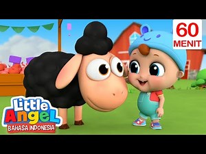 Kemanakah Domba Hitam? | Little Angel Bahasa Indonesia | Kartun Anak