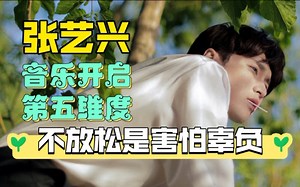 【张艺兴】张PD当老板后再谈浮躁市场！每年发新歌只是本职工作！春晚SOLO尚有遗憾|夏日吃瓜大片|阳光与少年演绎现实版《凡尔登湖》|《智族GQ》不放松有声采访_哔哩哔哩_bilibili
