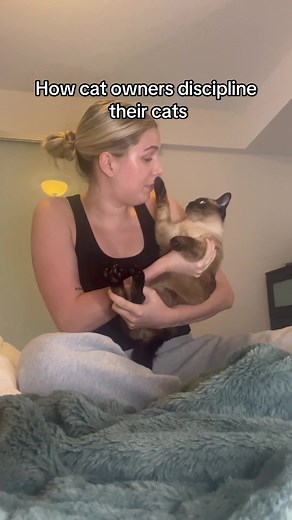 Creative Ways to Discipline and Train Your Cat