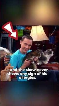 No one realized that The Big Bang Theory actually contains four little-known plot holes.