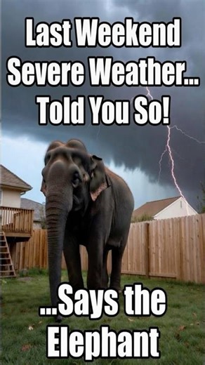 How Bad Was Friday’s Hailstorm in SW OKC? (Elephant Was Right Again)