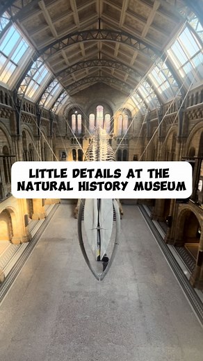 The Natural History Museum has lots of amazing little details 👀 Designed by Alfred Waterhouse, it was intended as an awe-inspiring ‘cathedral to nature. Lots of the details are pointed out on the Secrets of the Natural History Museum tour they run @natural_history_museum. . . . #london #londonhistory #livinglondonhistory #naturalhistorymuseum #londonmuseum #londontrip #londontravel #charlesdarwin #secretlondon | Living London History