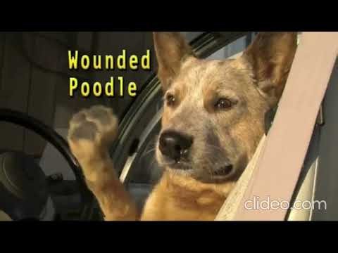 Amigos De Garcia Productions/Crystal Diner/Wounded Poodle/Moorish Dignity Productions/WBTV (2006)