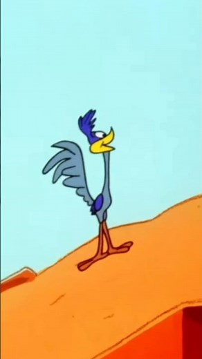 This is what a roadrunner looks like in real life, but it will NEVER beat a coyote 🤔🐔 #shorts