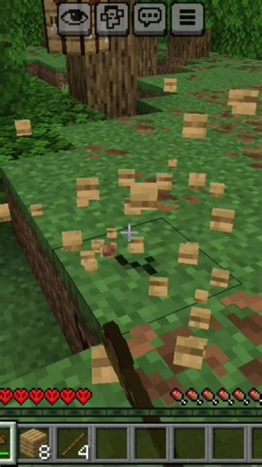 my first day in minecraft