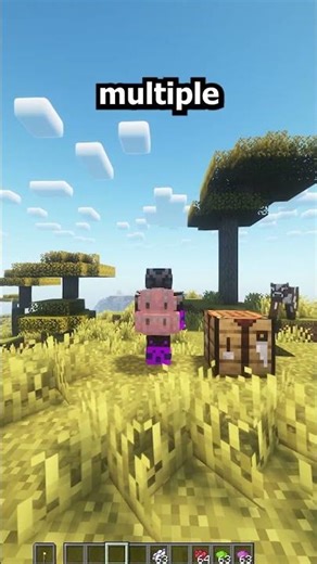 I Tried the Most Powerful Backpack Mod! #minecraft