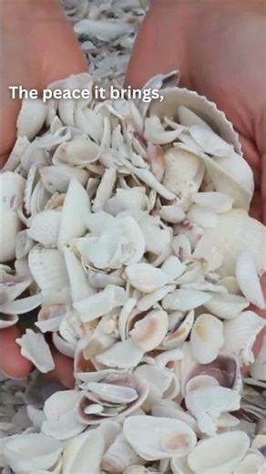 Here’s to the simple moments that stay with us. #Beachcombing