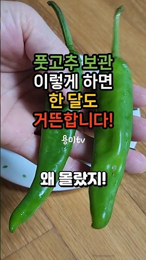 Keep Green Chilies Fresh for a Month with This Trick #GreenChiliStorage #ChiliStorage #VegetableS...