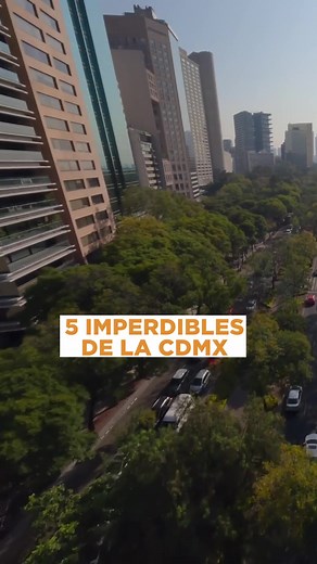 Cuándo visitas la Ciudad de México hay tantas por hacer que no alcanzarías a vivirlo todo, pero aquí te decimos 5 imperdibles: Conocer el la planca del Zócalo y sus alrededores. Ver Los danzantes aztecas que muestran la historia y la raíz de la ciudad. Mariachis en Garibaldi, que te harán conocer la música más tradicional de México. Un día visitando el Castillo de Chapultepec, para pasar un día sumergiéndote en la historia de México. El Museo Nacional de Antropología, te dejará con la boca abier