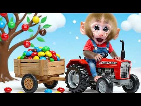 Monkey Bon Bon Drives a Tractor Through a Snowstorm to Build a Cozy Fireplace
