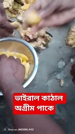 ভাইরাল কাঠাল # অগ্রীম পাকে