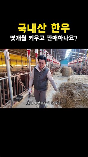 The Hanwoo all look great!