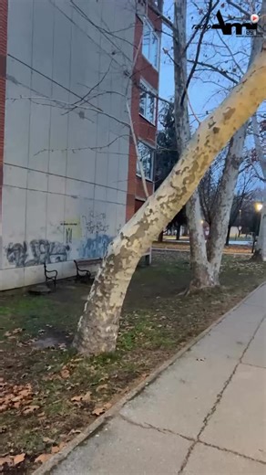 Radio Ami Kikinda | #obaveštenje #meteoalarm #kikinda | Instagram