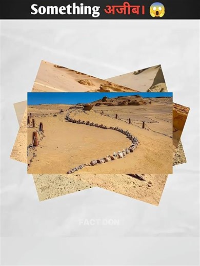 something #fact #facts #knowfacttstudy