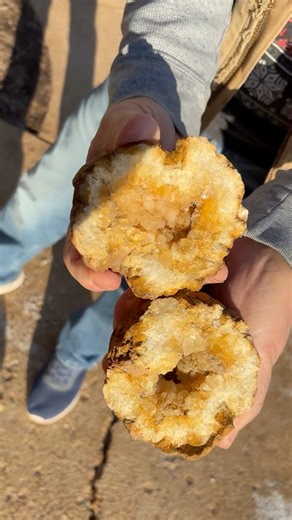 Indiana geodes #geodecracking #geodes | RockHunter Mark