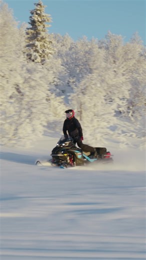 Unleash Your Adventure with Lynx Commander Snowmobiles