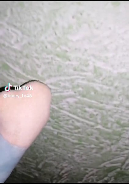 Explore the Bluey Stuffed Animal Trend