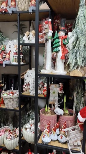 Vitajte v našom kvetinárstve, kde sa Vianoce začínajú vôňou čerstvých kvetov a ligotom sviatočných ozdôb. 🎄✨ Objavte našu ponuku vianočných ruží, dekorácií, aranžmánov a ozdôb, ktoré dodajú vášmu domovu tú pravú sviatočnú atmosféru. Každý kúsok tvoríme s láskou, aby Vianoce boli ešte krajšie, teplejšie a plné pohody. 🌹 Navštívte nás a nechajte sa inšpirovať kúzlom sviatkov! | Kvetinárstvo Dália