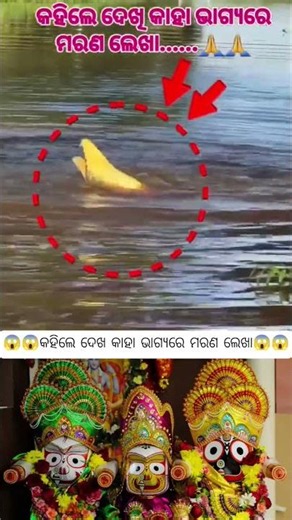 Kaha Bhagya Marana Lekha 😱 || Odia Mini Vlogs || Viral Video #shortsfeed #minivlog #viralvideo